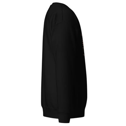 Black sweatshirt on a white background